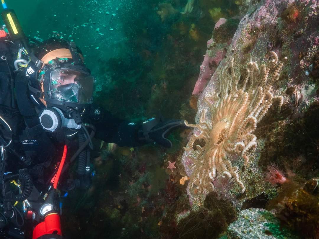 Calum Stronach Underwater Specialist